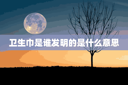 卫生巾是谁发明的是什么意思